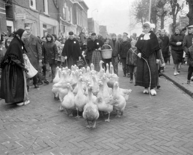 De gans was de hoedster van het Limburgse erf