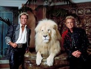 Filmsterren op de Cauberg en loslopend wild